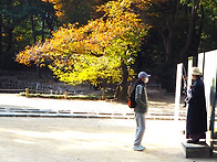 고궁의 가을을 걸으며~~