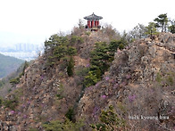 대전 구봉산 진달래 산행 ..