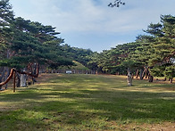 흥덕왕릉