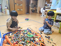 2025년 6월 첫째주 반디 ..