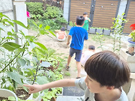 2026년 5월 다섯째주 반디..
