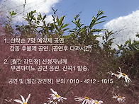 10월 부엔 까미노..