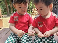 사랑반/숲체험🥰😍