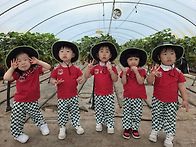 기쁨반/딸기따기체험 다녀..