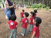 기쁨반/숲체험 다녀왔습니..
