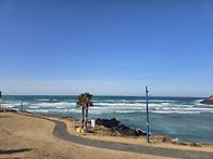 2026년도 제주 상록봉사단..