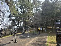 2026년도 제주 상록사랑나..