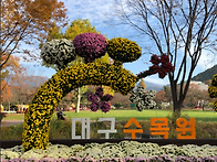 🌳'대구 수목원