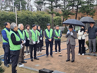 광복80주년기념 광복소나무..