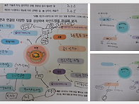 꿈틀꿈틀 진로탐색
