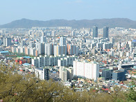 대전 보문산 (2022. 4...