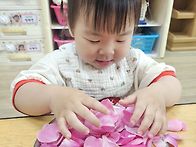 장미꽃을 탐색해요 &#9880;&#65039;