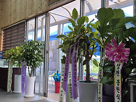 양주순교성지 새 성전 축복..