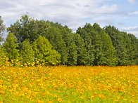 의정부교구 희년 신앙의 ..