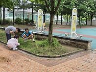 센터 주변 식물 찾기(5/..