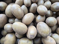 홍왈수어르신 보호자님께서..