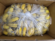 양행육어르신보호자께서 후..