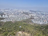 관악산 봄꽃 산행 사진 올..