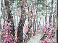 북바위산 소나무 능선
