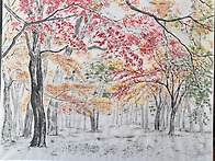 단풍나무 그리기