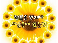 불금 되시와요