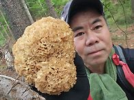 26년 자연산꽃송이버섯 산행 6.25