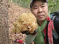 26년 자연산꽃송이버섯 산행 6.25