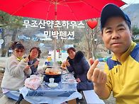 강원도 무조산약초..