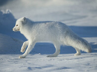 비지니스상 여러사람과 교..