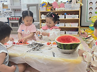 새싹반 7월 3~4주 놀이 이..