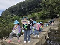 🌍 회야강을 ..