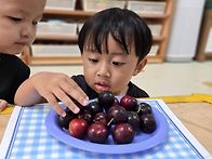 햇살3반 체리자두 오감놀이
