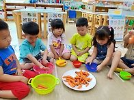 텃밭에서 시작된 즐거운 ..