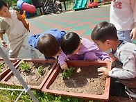 생태활동4