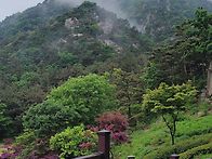 용봉산휴양림