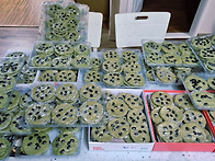 쑥떡
