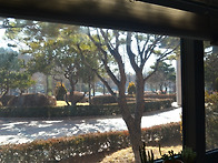 내가 바라보는 시선~