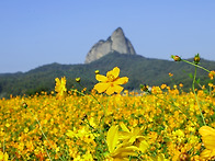 25년 10월 진안 정기 출사