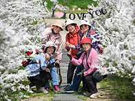 26/4/14(화) 에덴벚꽃길