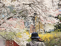 청평과 철쭉 동산에서~~