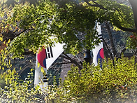 가을 현충원