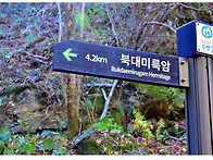 평창 오대산 2