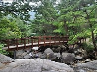 ●제593회차 산청..