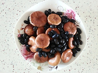 특효 보신의 효능과 양위조..