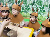 해님반 오감활동🌱