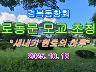 40회 새내기로 원..