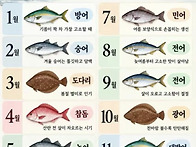 짱구피싱호