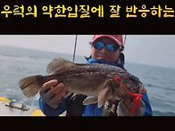 우럭 추억