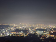 야심한 밤과 동행