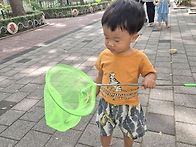 &#127757;지구친구 즐기..